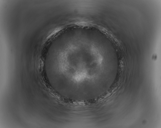 X0000100841302200806271103