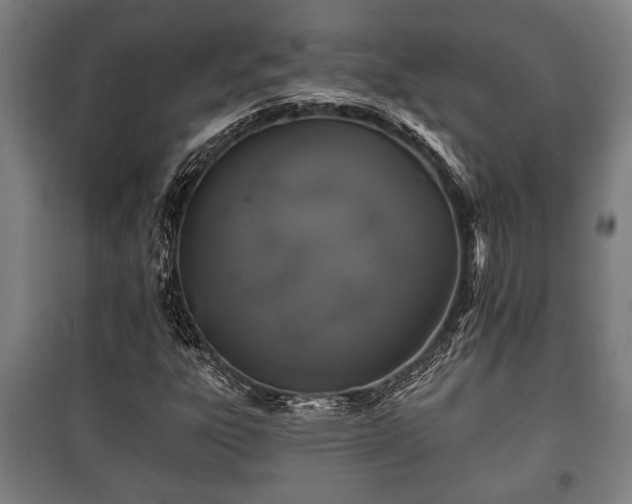 X0000100841303200806271103