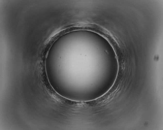 X0000100841304200806271103