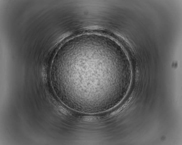 X0000100841305200806271103