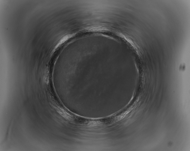 X0000100841306200806271103