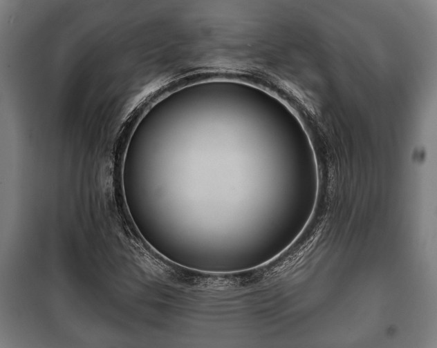 X0000100841307200806271103