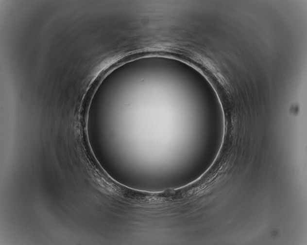 X0000100841308200806271103