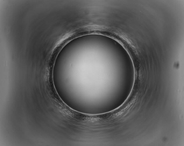 X0000100841309200806271103