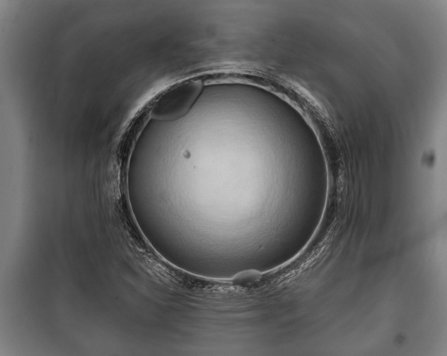 X0000100841310200806271103