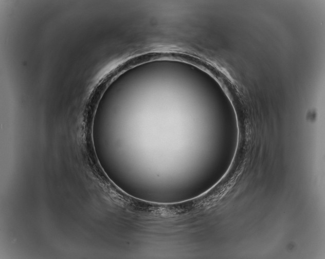 X0000100841311200806271103