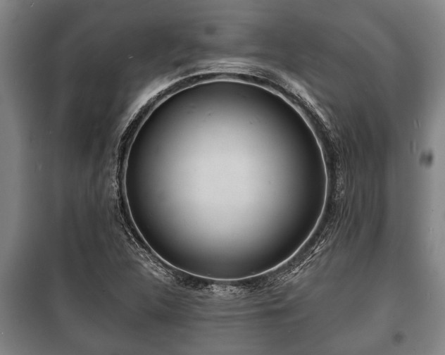 X0000100841312200806271103