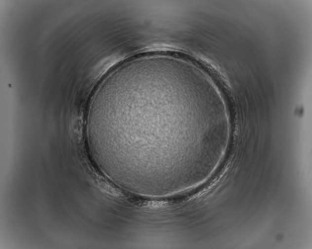 X0000100841313200806271103