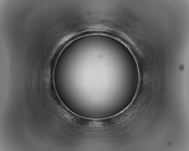 X0000100841315200806271103