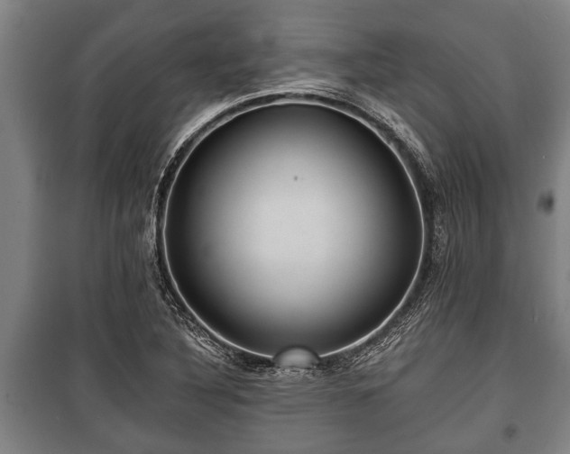 X0000100841316200806271103