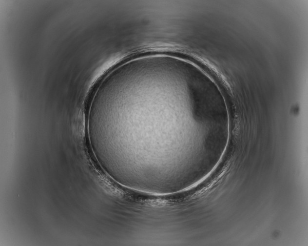 X0000100841317200806271103