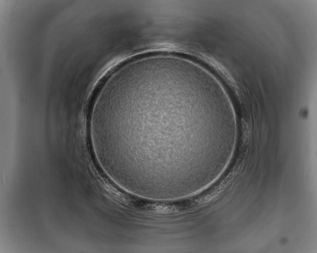 X0000100841318200806271103