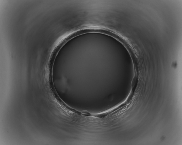 X0000100841319200806271103