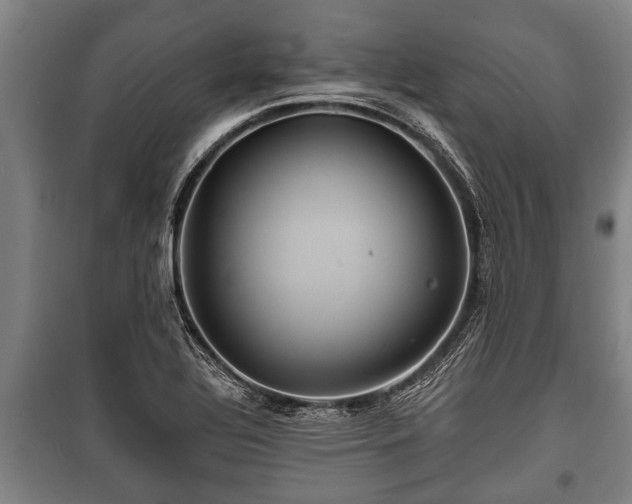 X0000100841320200806271103