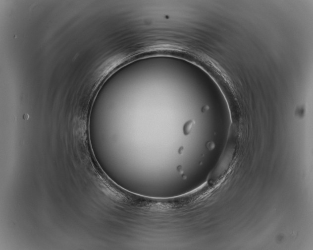 X0000100841321200806271103