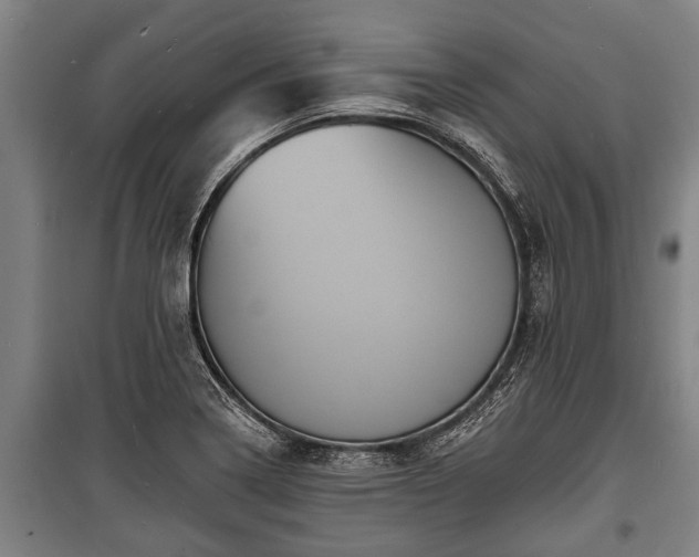 X0000100841322200806271103