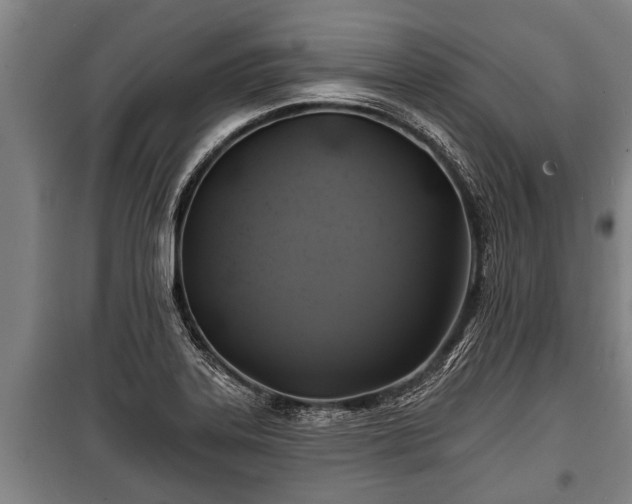 X0000100841323200806271103