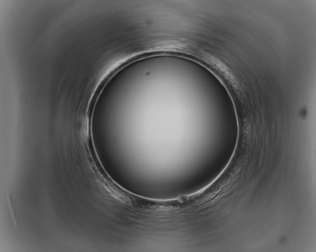 X0000100841324200806271103