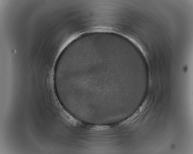 X0000100841325200806271103