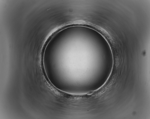 X0000100841326200806271103