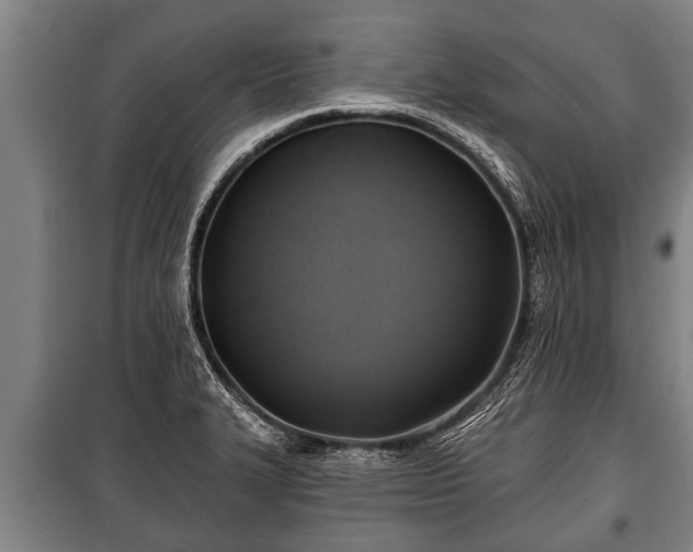 X0000100841327200806271103