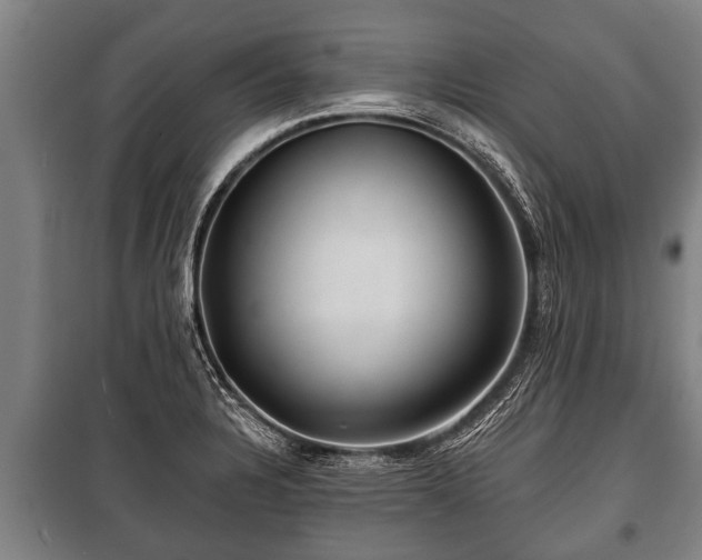 X0000100841328200806271103