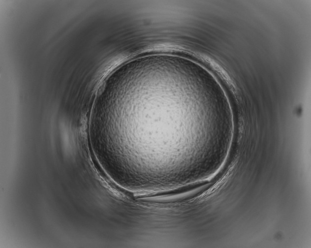 X0000100841329200806271103