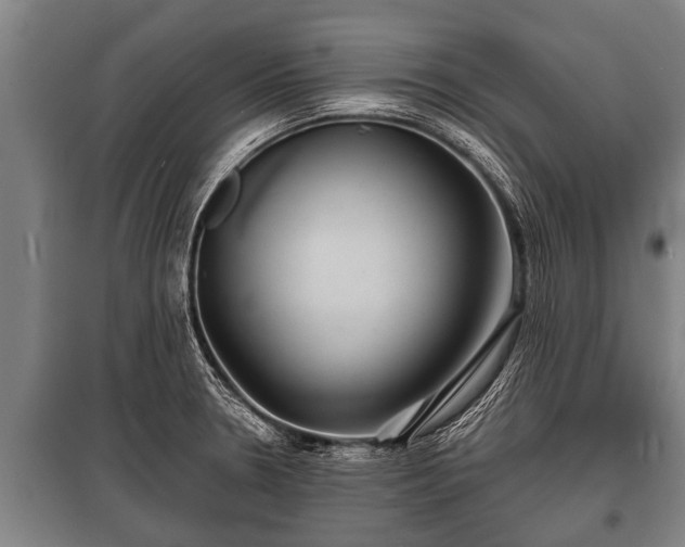 X0000100841330200806271103