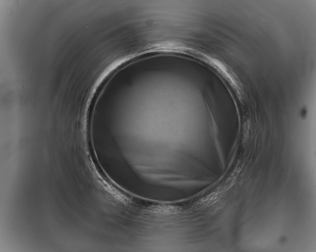 X0000100841331200806271103