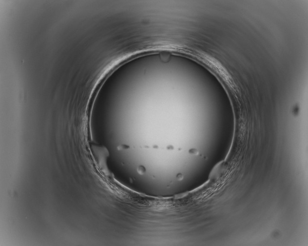 X0000100841332200806271103