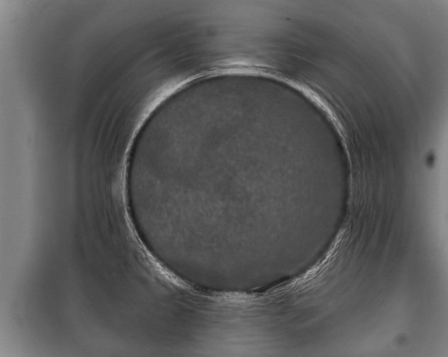 X0000100841333200806271103