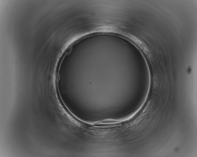 X0000100841334200806271103