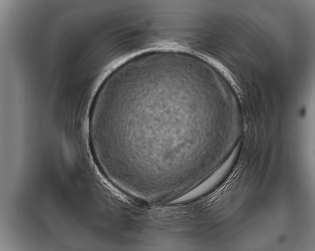 X0000100841335200806271103