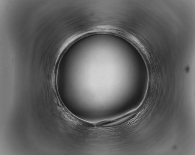 X0000100841336200806271103