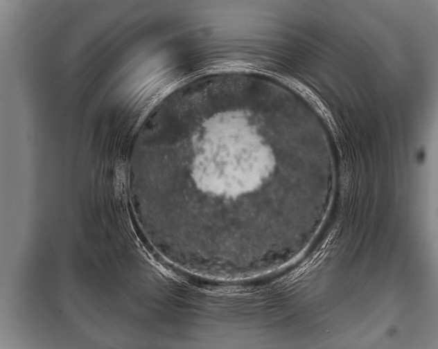 X0000100841337200806271103