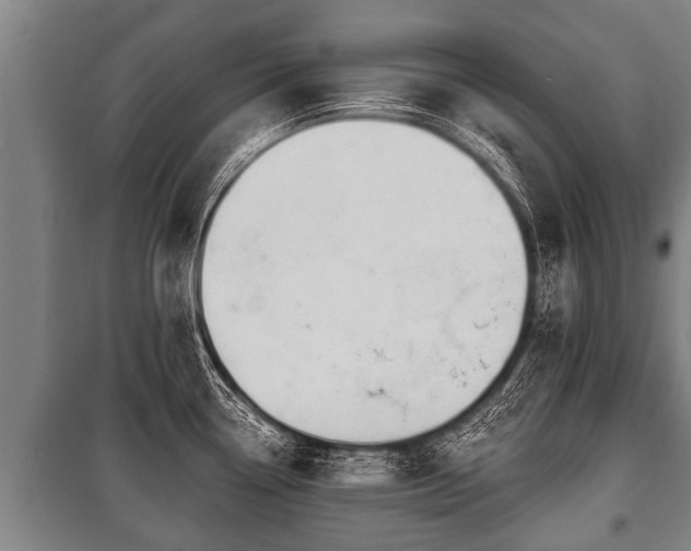 X0000100841338200806271103