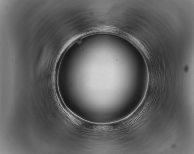 X0000100841339200806271103