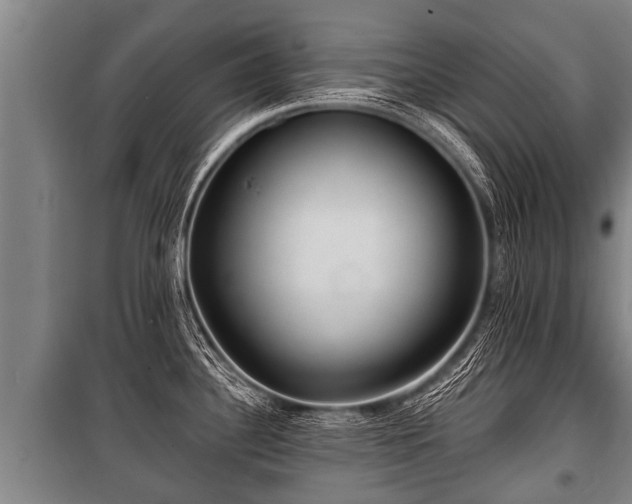 X0000100841340200806271103