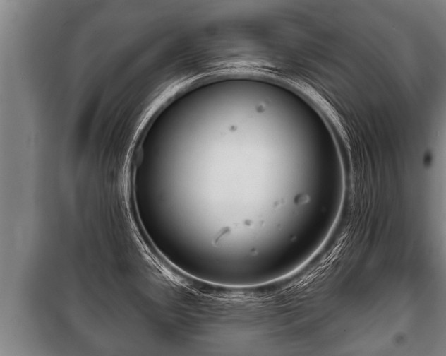 X0000100841341200806271103