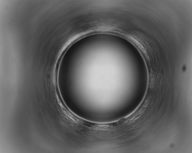 X0000100841342200806271103