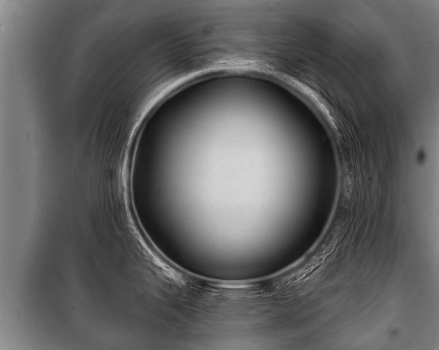 X0000100841343200806271103