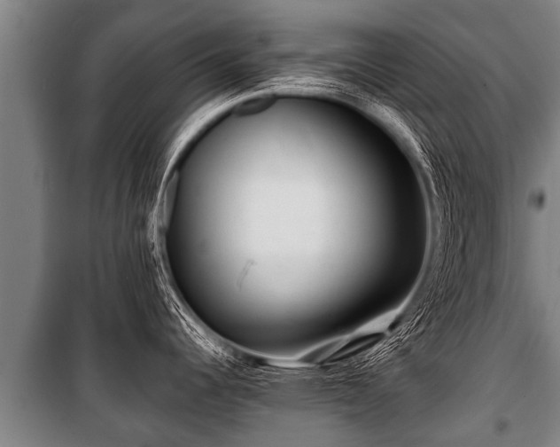 X0000100841344200806271103