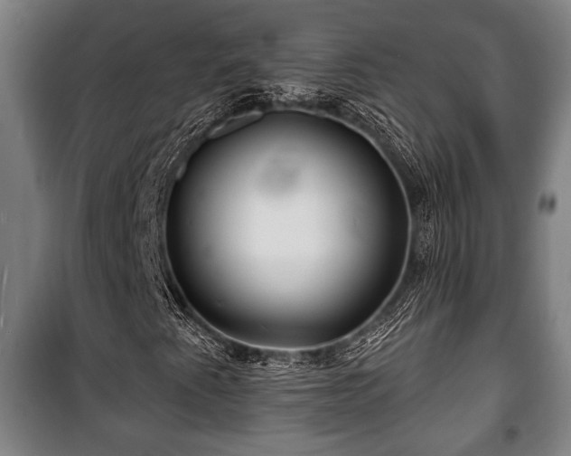 X0000100841345200806271103