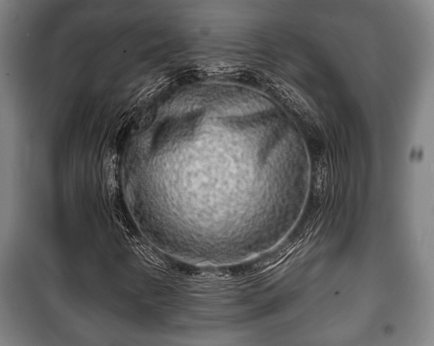 X0000100841346200806271103