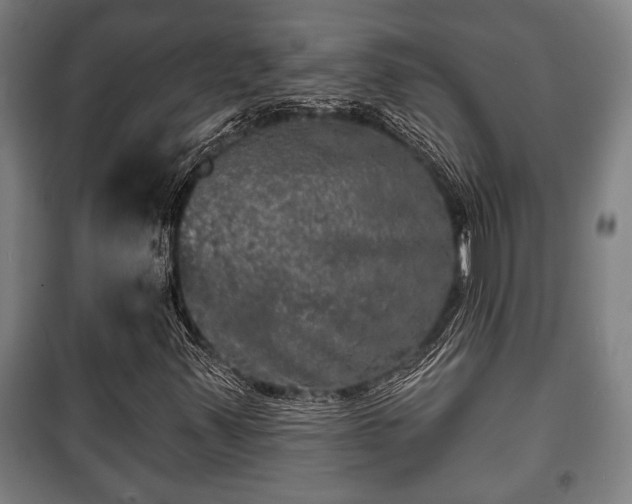 X0000100841347200806271103