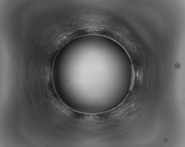 X0000100841348200806271103