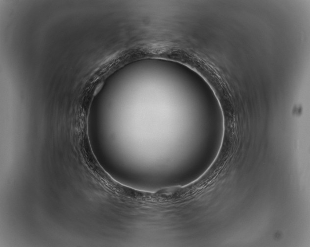 X0000100841349200806271103