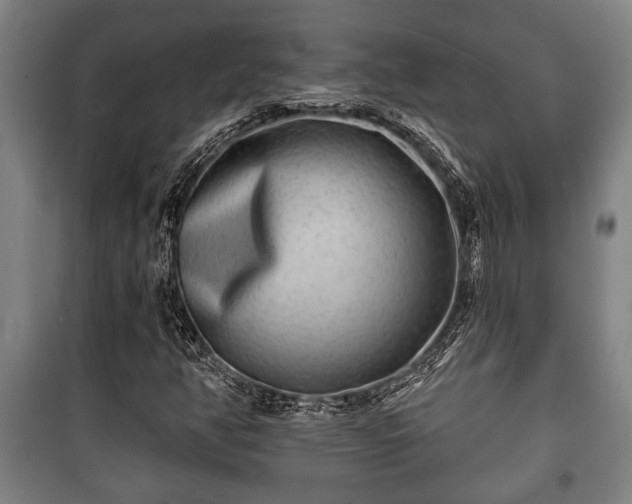 X0000100841350200806271103