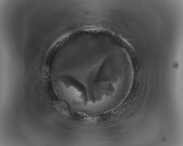 X0000100841351200806271103