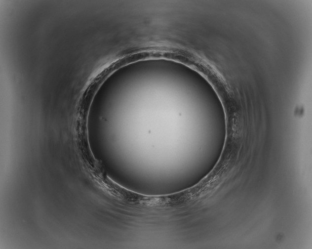 X0000100841352200806271103